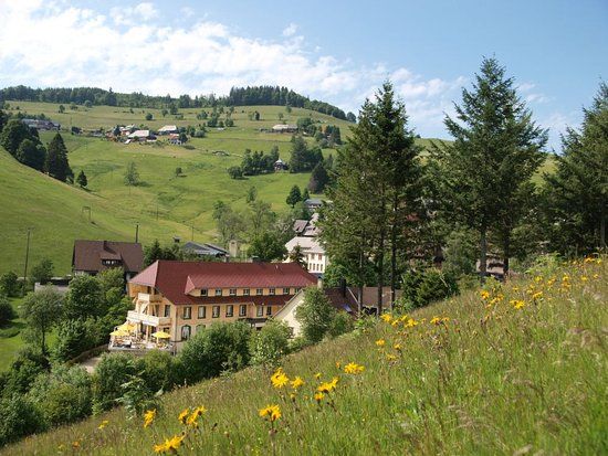 Grüner Baum