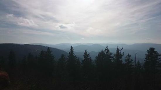 Schliffkopf