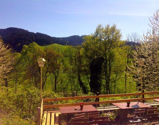 Gasthaus Birke