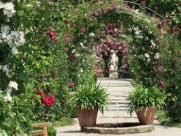 Rosenneuheitengarten