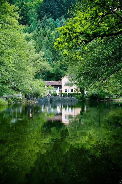 Waldsee