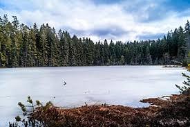 Herrenwieser See