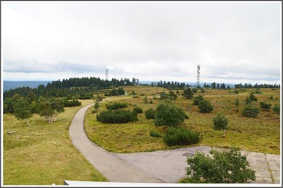 Hornisgrindeturm