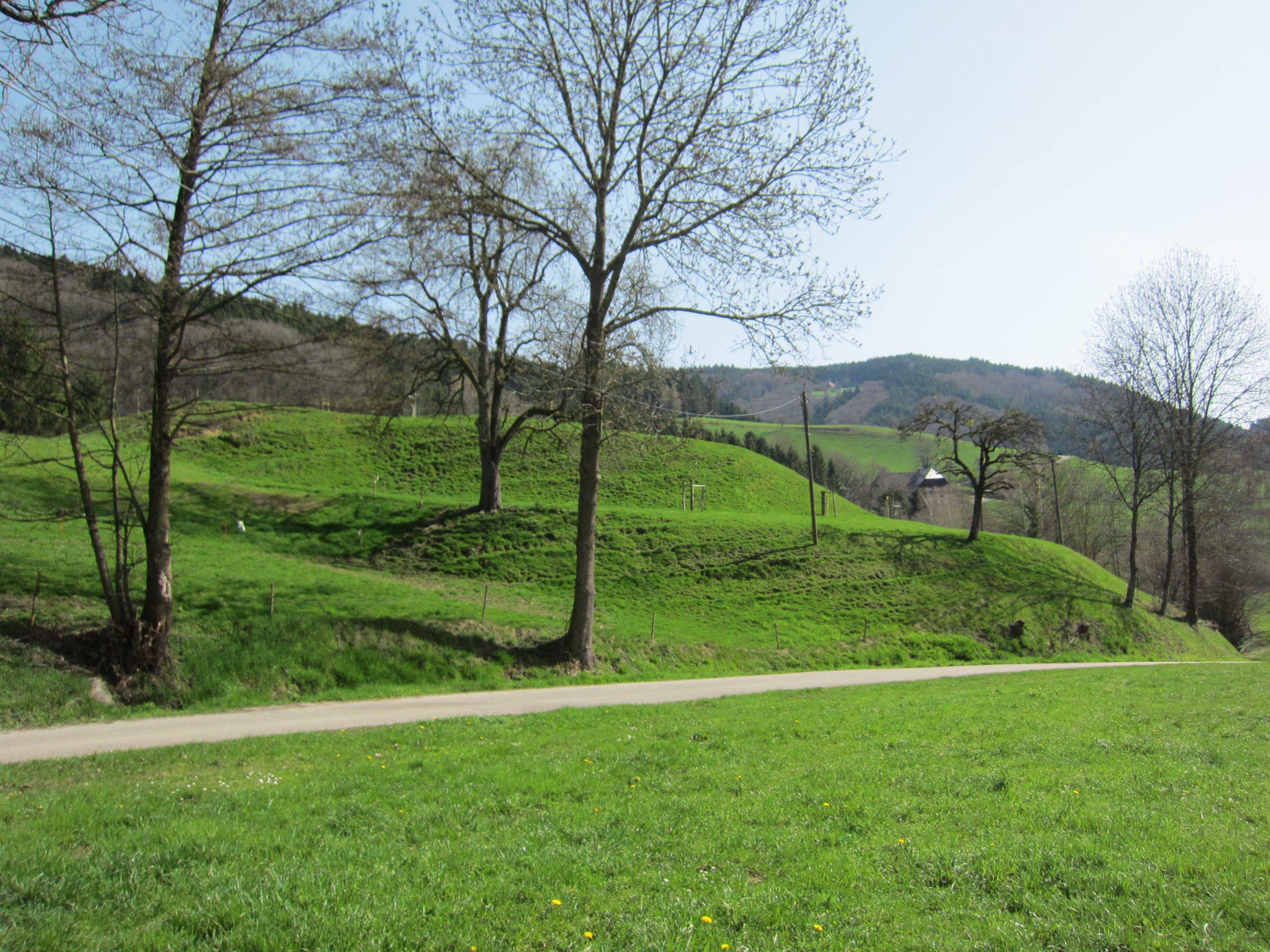 Burg Fischerbach