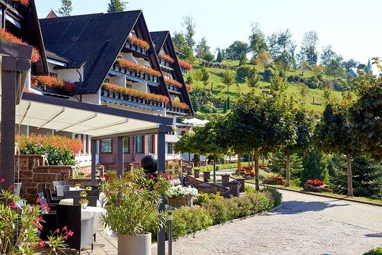 Hotel Dollenberg