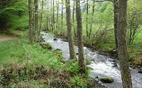 Eyach- und Rotenbachtal