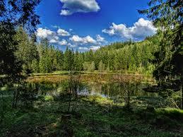 der Buhlbachsee