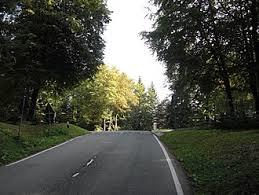 Locherbergwasen