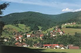 Schonegrund