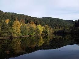 die Murgtalsperre