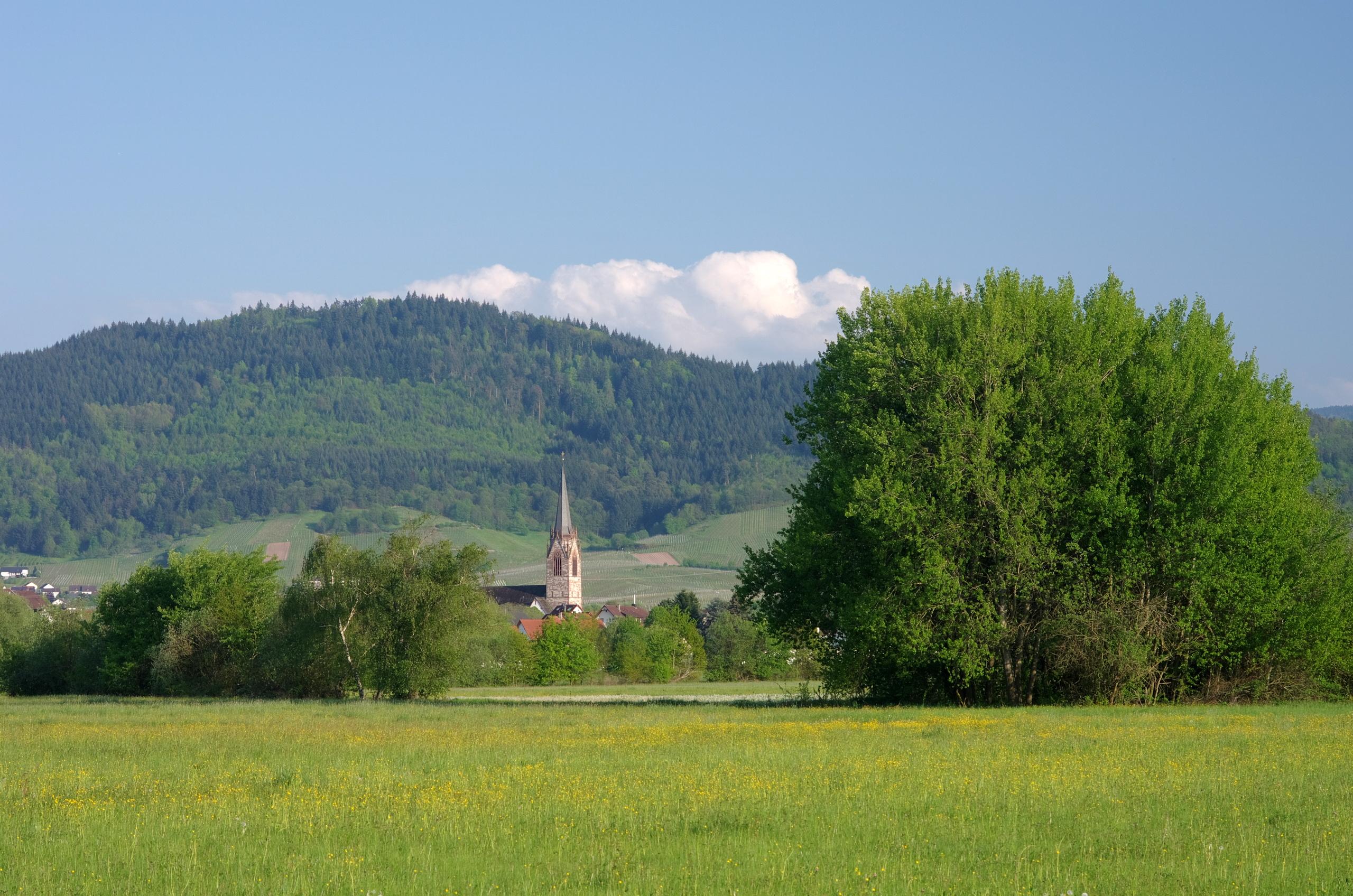 der Schartenberg