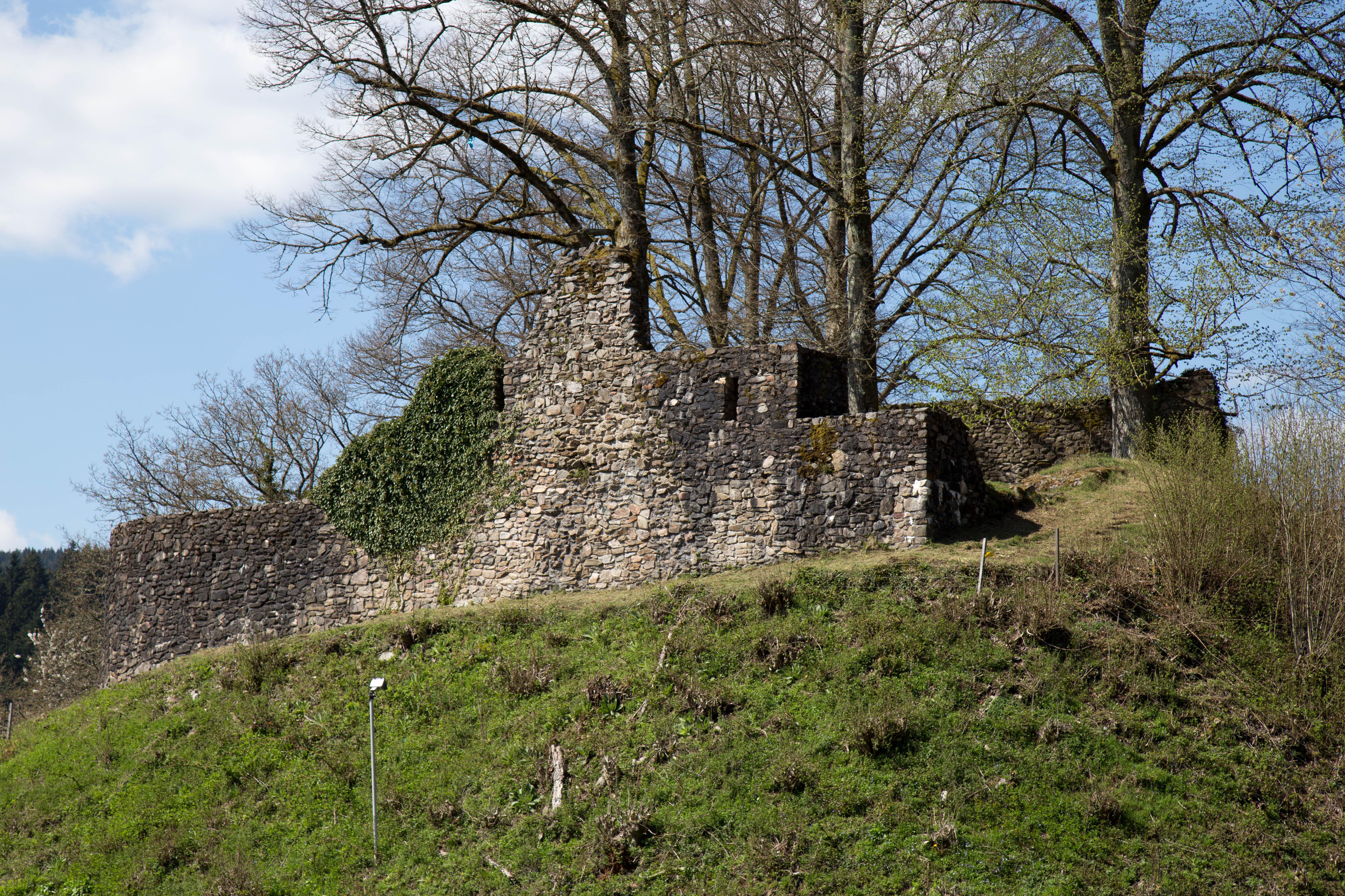 Ruine Wolfach