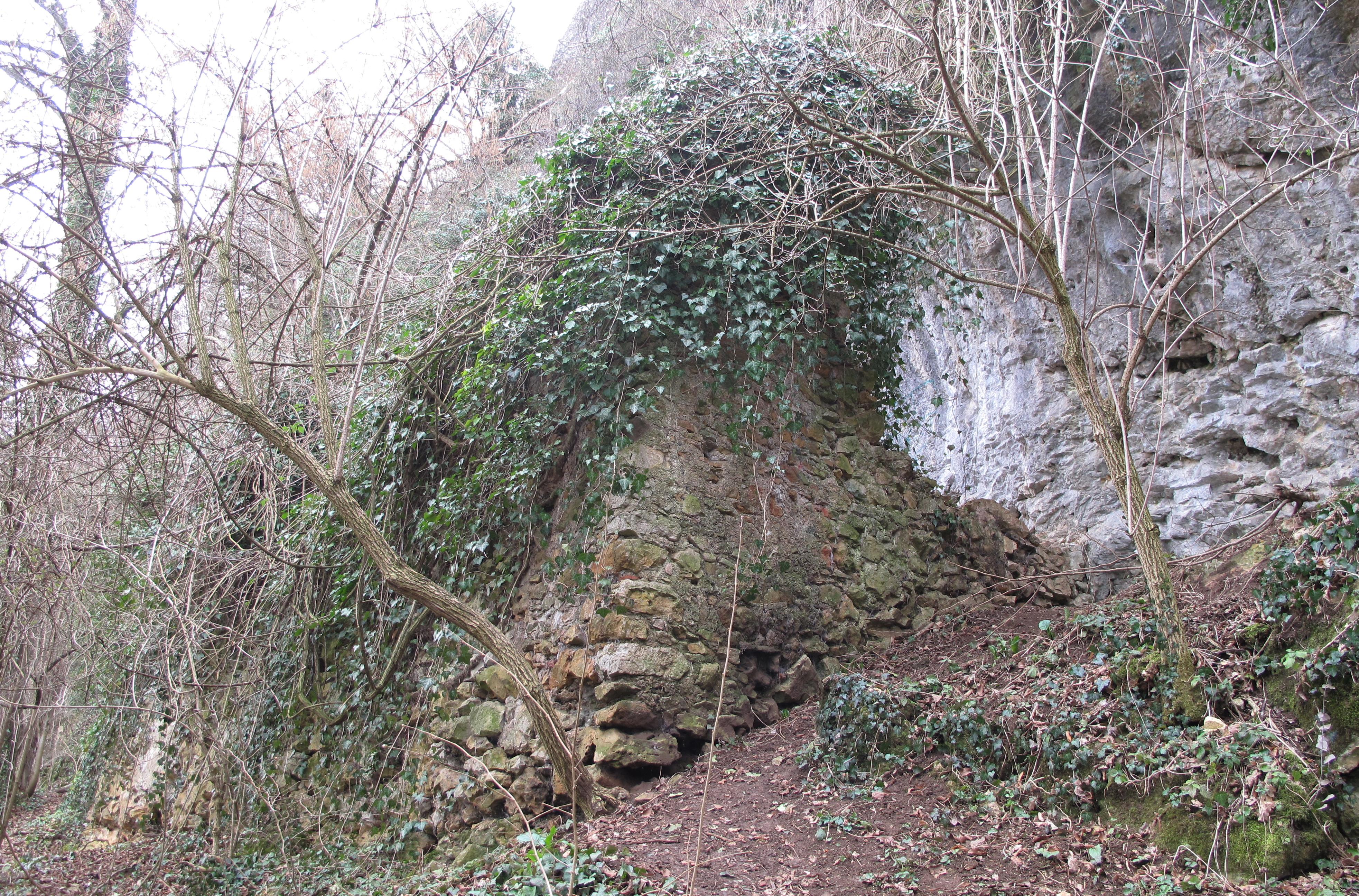 Burg Hauenfels
