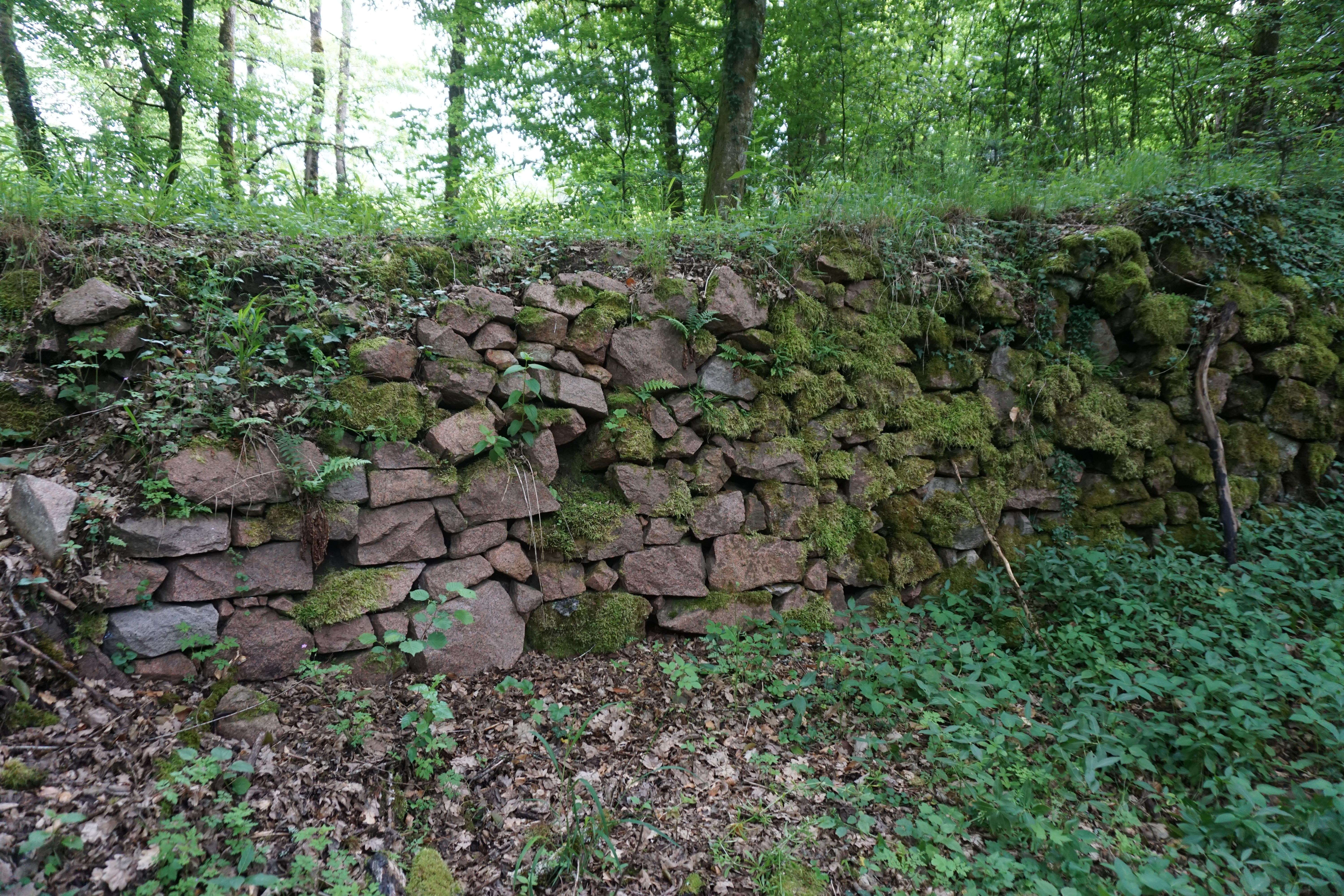 Burg Neu-Waldeck
