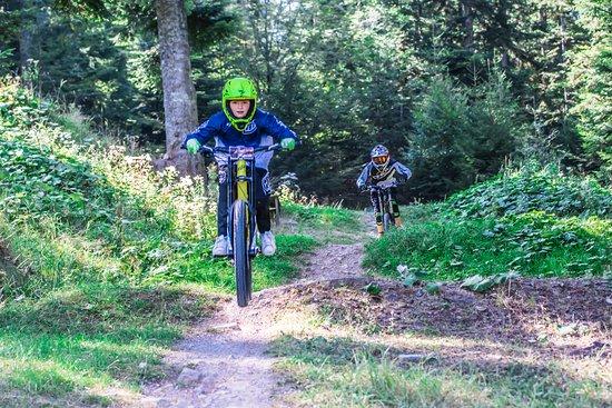 Bikepark Bad Wildbad
