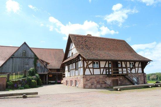 Heimatmuseum "Baule"