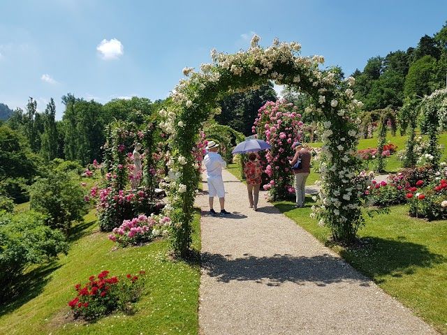 Rosenneuheitengarten