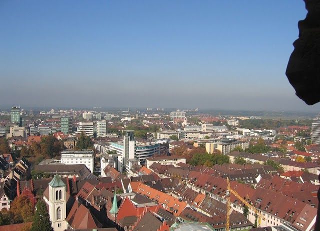 la Cathédrale Notre-Dame de Fribourg