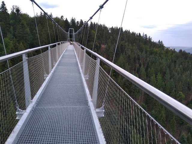die WildLine Bad Wildbad