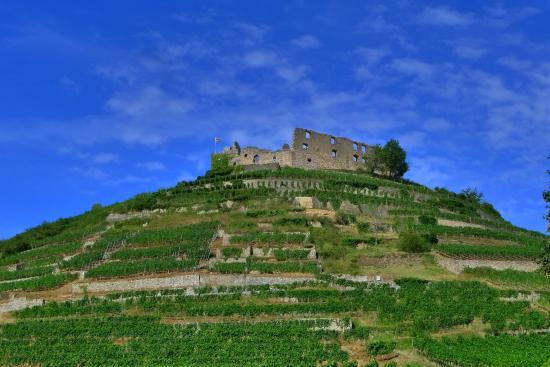 Burgruine Schlossberg
