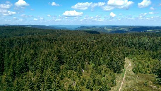 Stöcklewaldturm