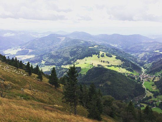 Sommet du Belchen