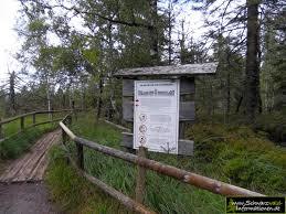 der Hohlohsee