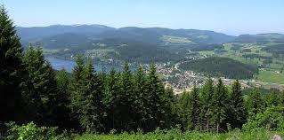 der Hochfirst