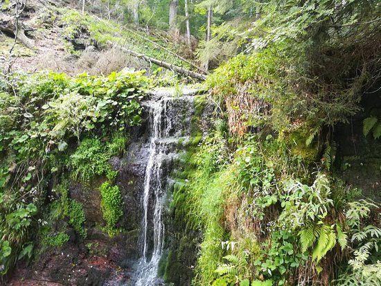 der Sankenbach-Wasserfall